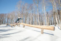 Triple 8 Halo Snow Standard Helmet -Pro Gear Home Shop 5 1 a0c63d9b 092a 4d2b bc15 84d6c055f316