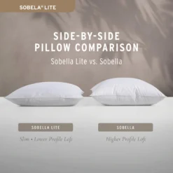 Sobella Lite Pillow -Pro Gear Home Shop Amazon infographics 2024 SobellaLite5